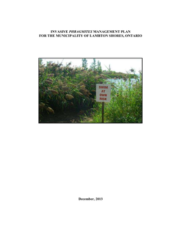 Invasive Phragmites Management Plan for the Municipality of Lambton Shores, Ontario