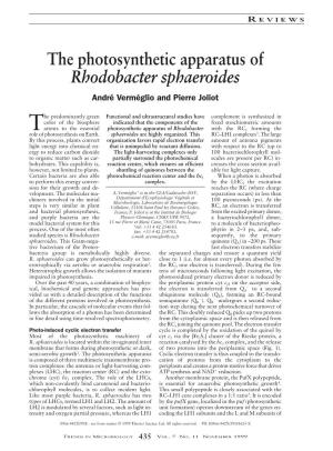The Photosynthetic Apparatus of Rhodobacter Sphaeroides André Verméglio and Pierre Joliot