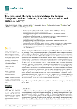 Triterpenes and Phenolic Compounds from the Fungus Fuscoporia Torulosa: Isolation, Structure Determination and Biological Activity