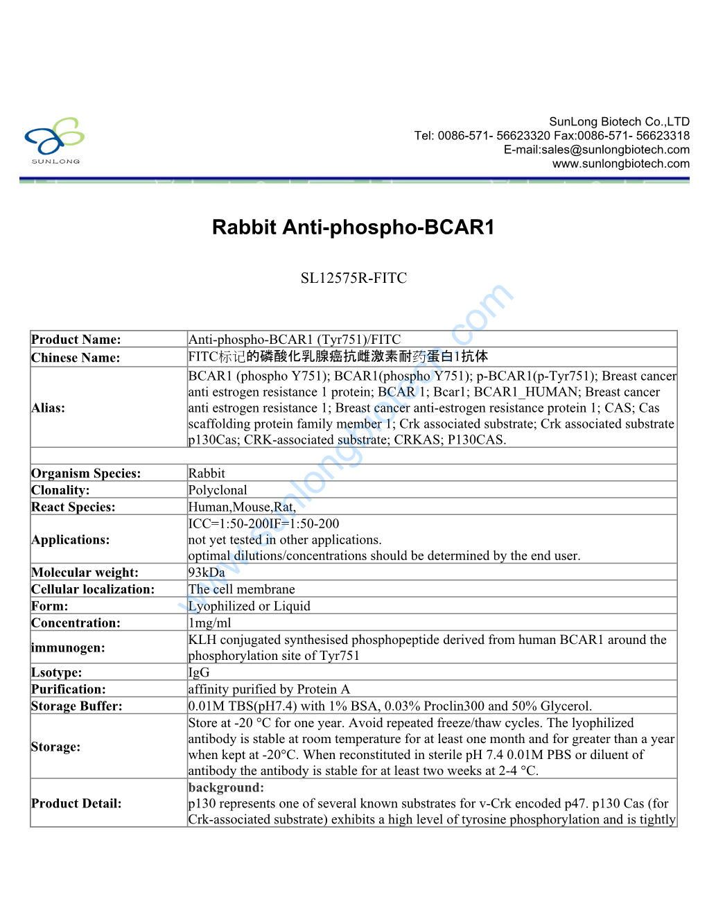 Rabbit Anti-Phospho-BCAR1-SL12575R