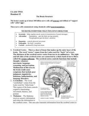 CLASS TWO Handout #5 the Brain Structure