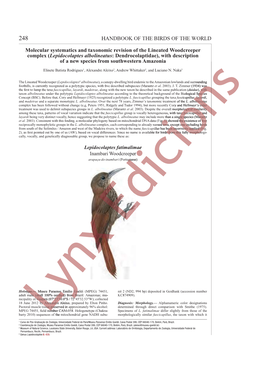 Lepidocolaptes Albolineatus: Dendrocolaptidae), with Description of a New Species from Southwestern Amazonia