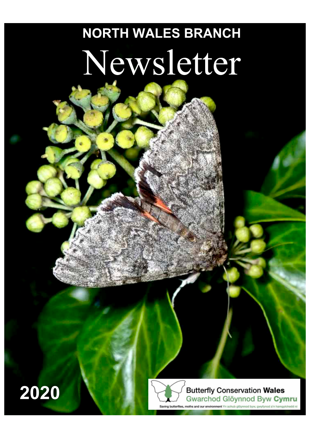 NORTH WALES BRANCH Newsletter