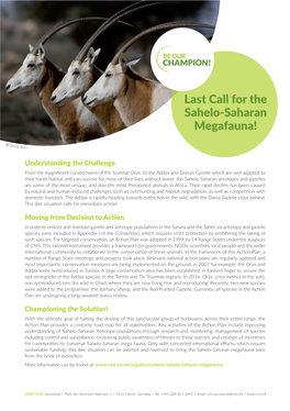 Last Call for the Sahelo-Saharan Megafauna!