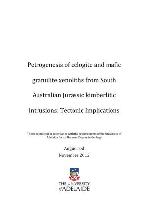 Petrogenesis of Eclogite and Mafic Granulite Xenoliths from South