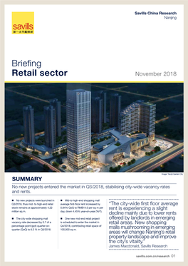 Briefing Retail Sector November 2018