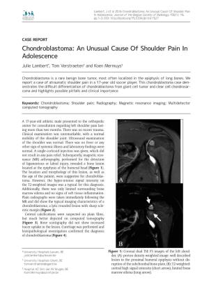 Chondroblastoma: an Unusual Cause of Shoulder Pain in Adolescence
