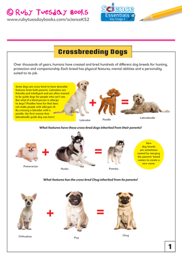 Crossbreeding Dogs
