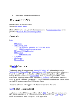 Microsoft DNS