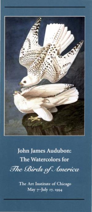 John James Audubon, the Watercolors for the Birds of America