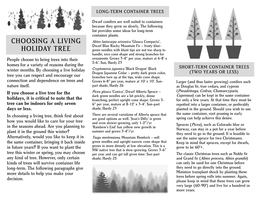 Living Christmas Trees