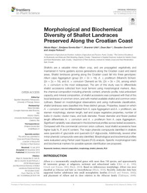 Morphological and Biochemical Diversity of Shallot Landraces Preserved Along the Croatian Coast