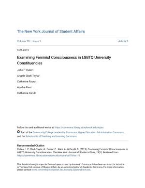 Examining Feminist Consciousness in LGBTQ University Constituencies