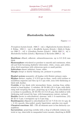 Hastodontia Hastata