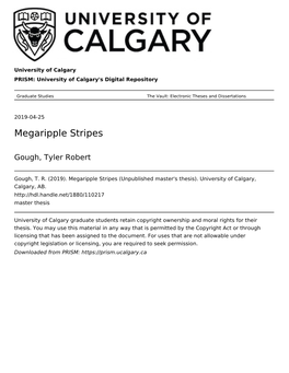 Megaripple Stripes