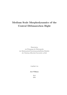 Medium Scale Morphodynamics of the Central Dithmarschen Bight
