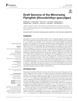 Draft Genome of the Mirrorwing Flyingfish (Hirundichthys Speculiger)