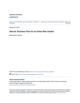 Business Plan for an Urban Beer Garden