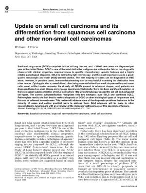 Update on Small Cell Carcinoma and Its Differentiation from Squamous Cell Carcinoma and Other Non-Small Cell Carcinomas