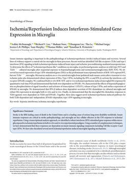 Ischemia/Reperfusion Induces Interferon-Stimulated Gene Expression in Microglia