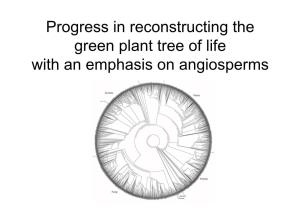 Progress in Reconstructing the Green Plant Tree of Life with an Emphasis on Angiosperms