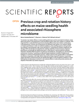 Previous Crop and Rotation History Effects on Maize Seedling Health