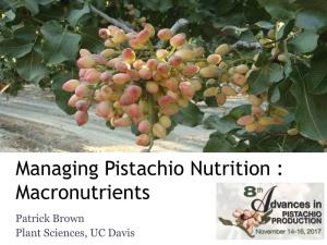 Managing Pistachio Nutrition : Macronutrients Patrick Brown Plant Sciences, UC Davis the Nutrient Cycle: a Balancing Act