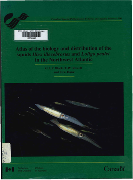 Atlas of the Biology and Distribution of the Squids Illex Illecebosus and Loligo Pealei in the Northwest Atlantic