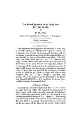 The Blood Systems of Safoella and Spirographis. by D