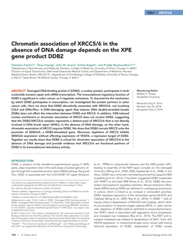 Chromatin Association of XRCC5/6 in the Absence of DNA Damage Depends on the XPE Gene Product DDB2