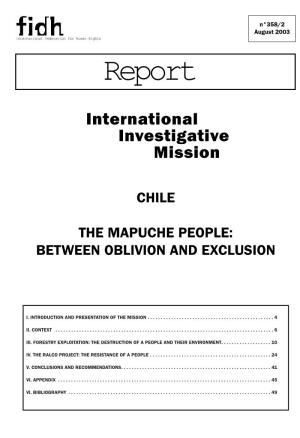 The Mapuche People: Between Oblivion and Exclusion