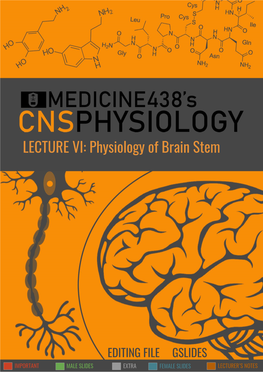 Physiology of Brain Stem