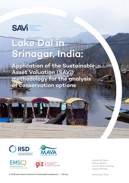 Lake Dal in Srinagar, India: Application of the Sustainable Asset Valuation (Savi) Methodology for the Analysis of Conservation Options