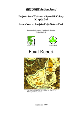 Final Report