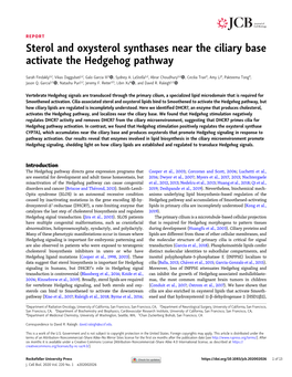 Sterol and Oxysterol Synthases Near the Ciliary Base Activate the Hedgehog Pathway
