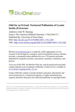Nocturnal Pollination of Lyonia Lucida (Ericaceae) Author(S): John W