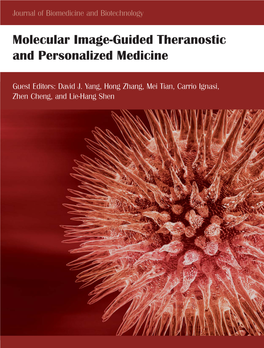 Molecular Imagegguided Theranostic and Personali&lt;Ed Medicine