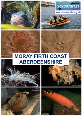 Moray Coast, North Aberdeenshire 2003-2007