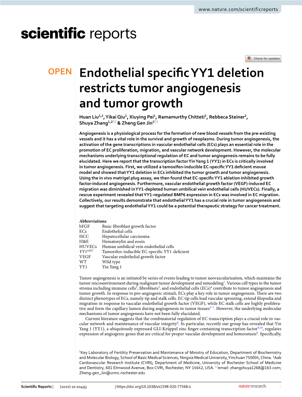 Endothelial Specific YY1 Deletion Restricts Tumor Angiogenesis And