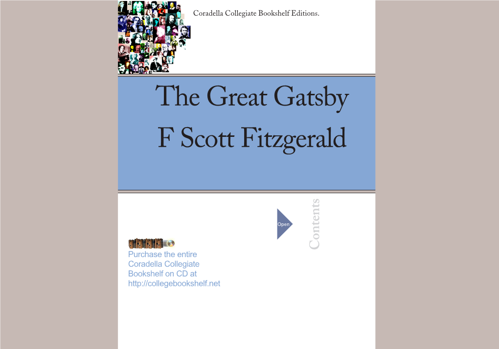 The Great Gatsby F Scott Fitzgerald