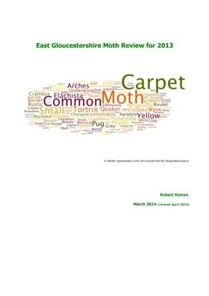 East Gloucestershire Moth Review for 2013