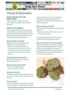 Peyote and Mescaline