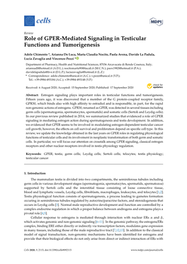 Role of GPER-Mediated Signaling in Testicular Functions and Tumorigenesis