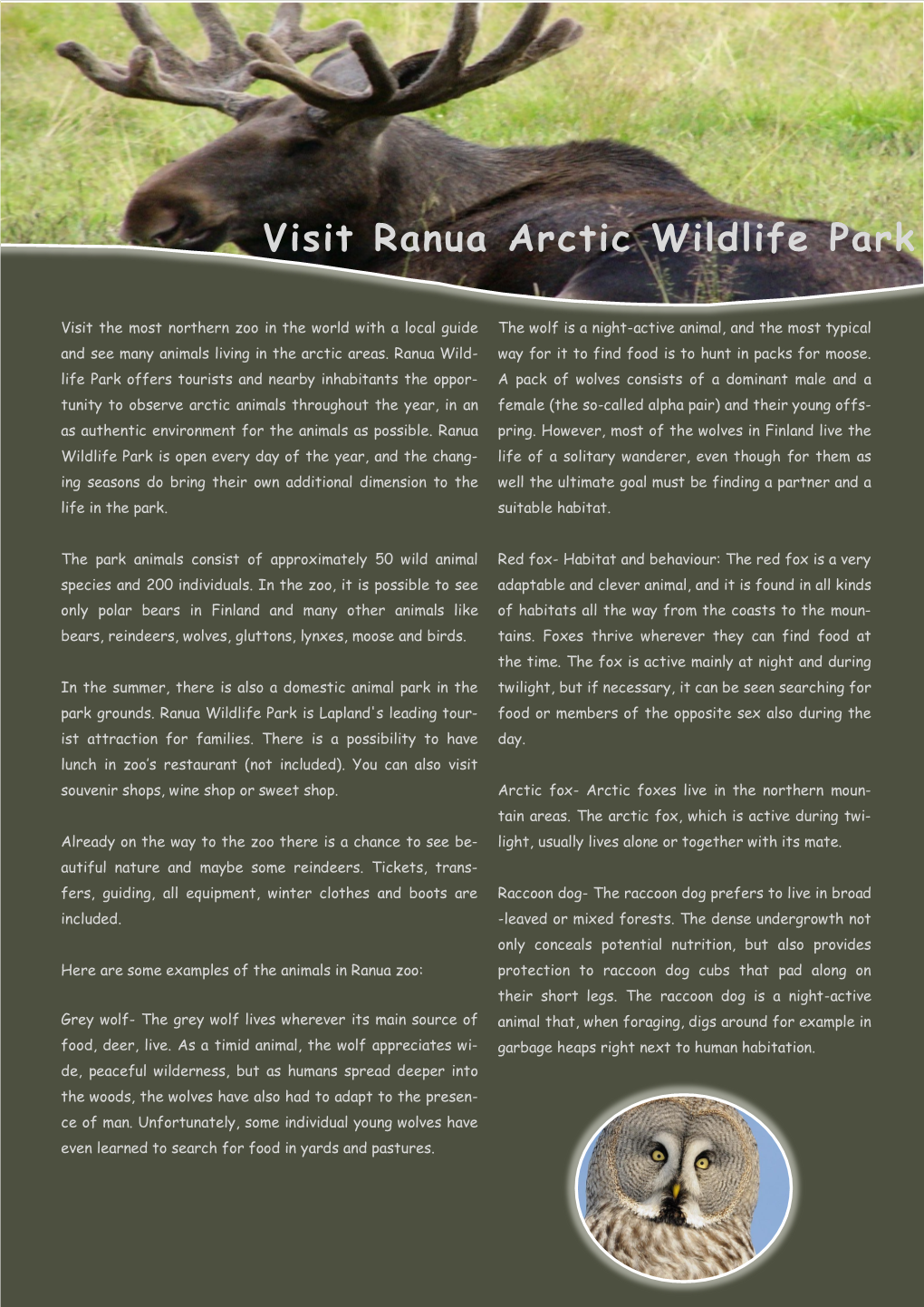 Visit Ranua Arctic Wildlife Park