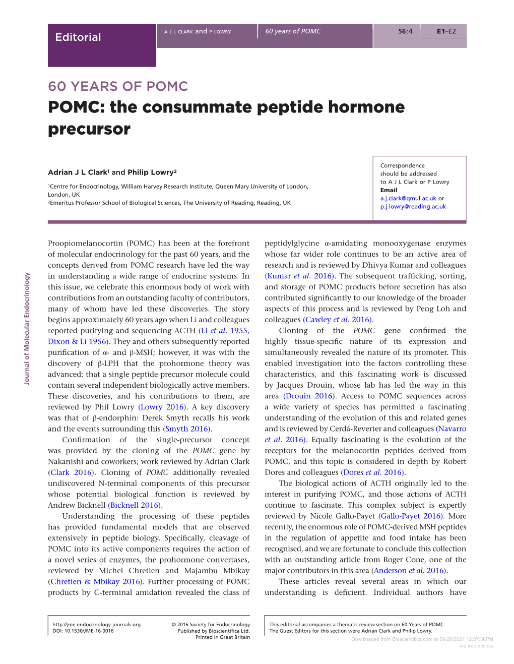 60 YEARS of POMC: POMC: the Consummate Peptide Hormone