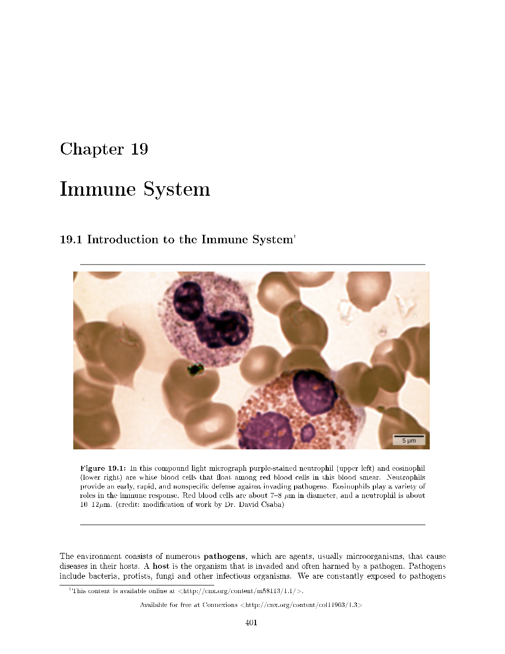 Immune System