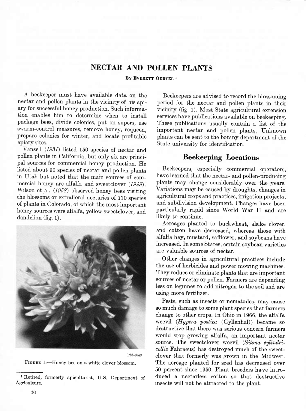 Nectar and Pollen Plants