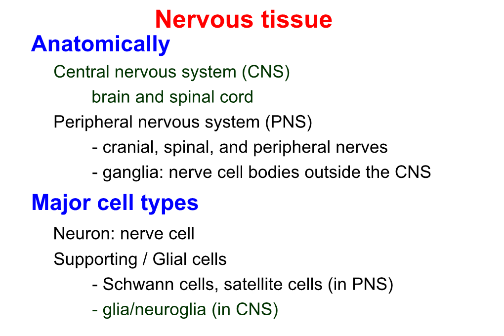 Guillain-Barre Syndrome (GBS)