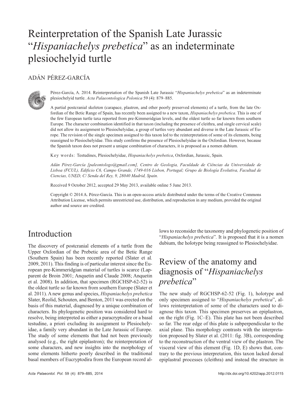 Reinterpretation of the Spanish Late Jurassic “Hispaniachelys Prebetica” As an Indeterminate Plesiochelyid Turtle