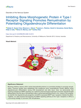 Inhibiting Bone Morphogenetic Protein 4 Type I Receptor Signaling Promotes Remyelination by Potentiating Oligodendrocyte Differentiation